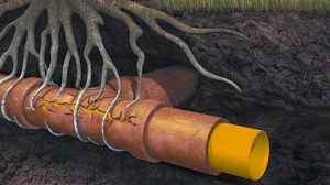 PandP Plumbing - sewer line cleaning